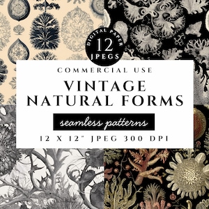 A digital paper set featuring seamless vintage botanical and natural history patterns in high-resolution 12x12 inch JPEG format at 300 DPI. Includes illustrations of antique plants, coral forms, sea life, and organic textures in a classic engraved style. The color palette uses cream, sepia, and black for a historical, aged look. Perfect for junk journaling, backgrounds, scrapbooking, printable crafts, and vintage-style design projects with a scientific or botanical theme.