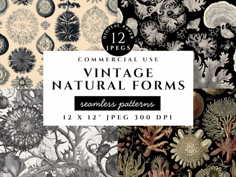 A digital paper set featuring seamless vintage botanical and natural history patterns in high-resolution 12x12 inch JPEG format at 300 DPI. Includes illustrations of antique plants, coral forms, sea life, and organic textures in a classic engraved style. The color palette uses cream, sepia, and black for a historical, aged look. Perfect for junk journaling, backgrounds, scrapbooking, printable crafts, and vintage-style design projects with a scientific or botanical theme.