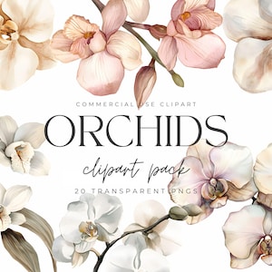 Aquarell Orchidee Clipart - Aquarell Blumen Clipart - Transparente PNG - Orchideenblüten - Digital Clip Art PNG - Kommerzielle Nutzung