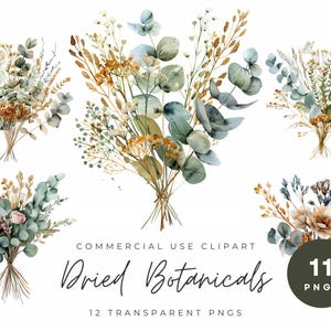 Collection de cliparts de plantes séchées | PNG haute résolution - décoration florale rustique, scrapbooking, faire-part, collage numérique, art bohème