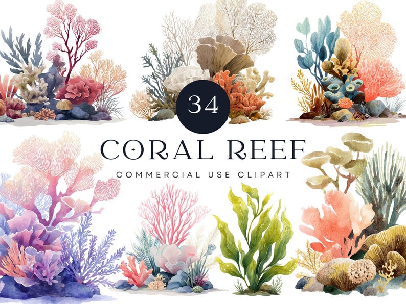 Watercolor coral reef clipart collection featuring 34 unique digital illustrations of ocean elements including seaweed, coral branches, reef plants, and underwater flora. Each piece is high-resolution and designed with vibrant colors like pink, blue, orange, and green. Transparent PNG format makes them ideal for design projects such as invitations, scrapbooking, branding, and decor. Inspired by tropical marine life and AI-generated for consistent quality.