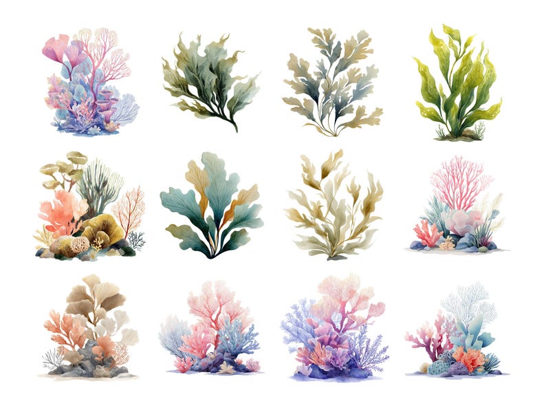 May include: Watercolor illustrations of various coral and seaweed. The image features a collection of colorful aquatic plants in shades of pink, blue, green, and brown. The artwork is detailed and suitable for marine-themed projects.