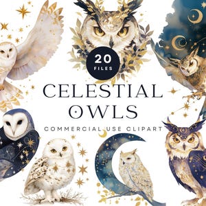 Bundle de cliparts hibou céleste, hibou lune mystique PNG, illustrations de hibou étoilé, hiboux aquarelle étoiles d'or, art numérique fantastique