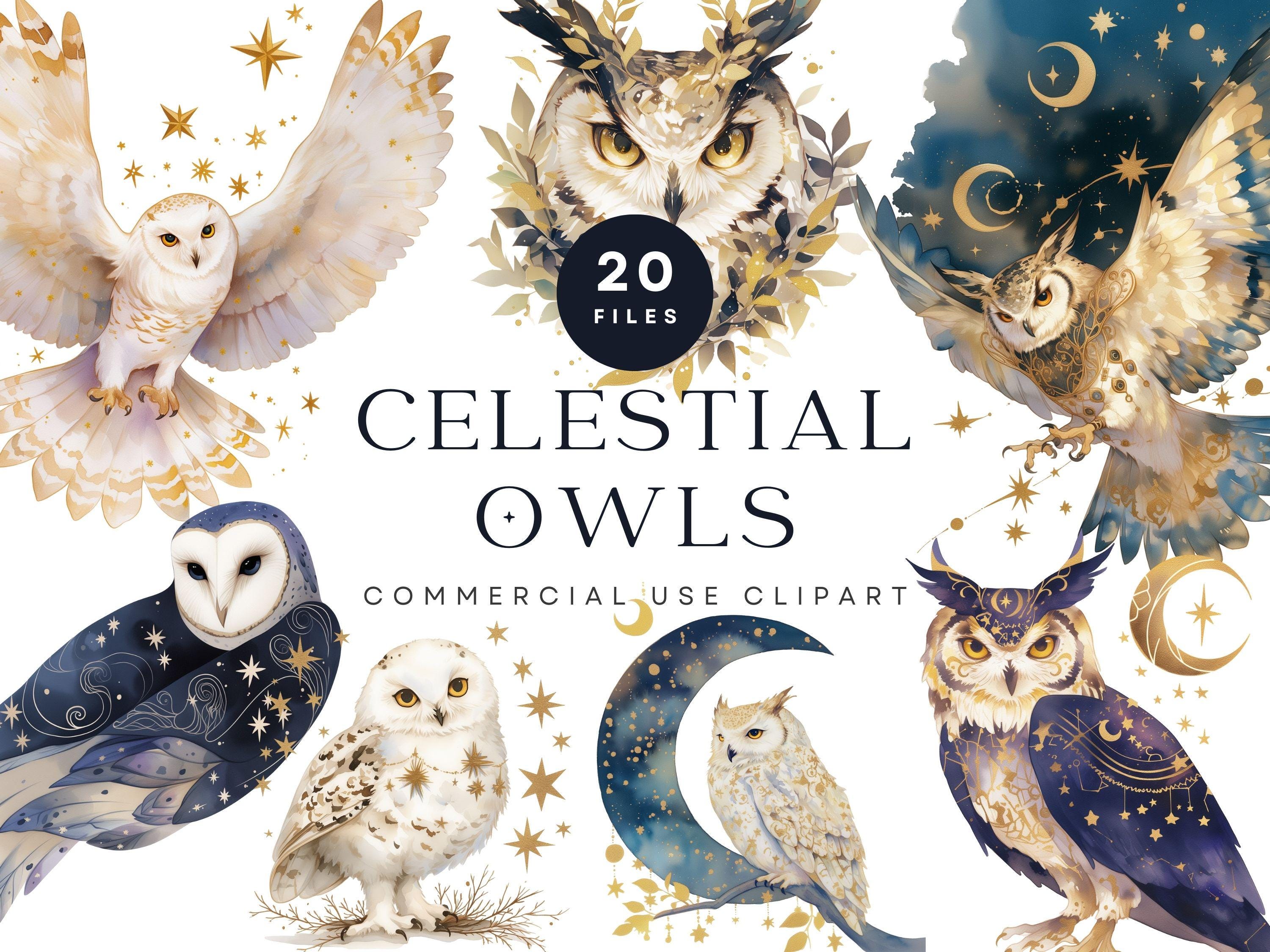 Celestial Owl Clipart Bundle, Mystic Moon Owl PNG, Starry Night Owl Illustrations, Golden Stars Wate