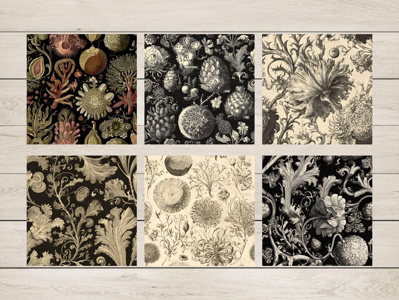 May include: Six different vintage botanical illustrations featuring black and white floral patterns with intricate details. The patterns include stylised flowers, leaves, and stems.