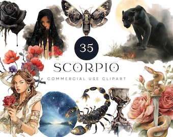 Può includere: Un set di 35 immagini clipart digitali con tema dello zodiaco Scorpione. Le immagini includono una rosa nera, una donna con un velo, una falena, una pantera nera, un serpente, uno scorpione, un calice, una rosa e un cielo stellato.