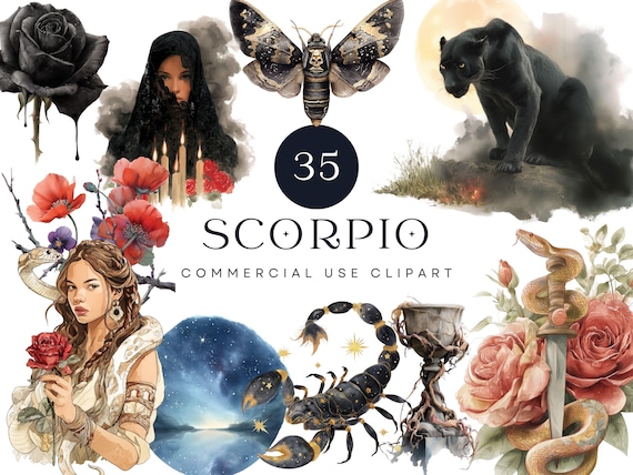 Scorpio Clipart Bundle | Zodiac, Witchy, Gothic Roses (digital ...