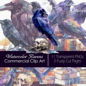 Aquarel raaf clipart, bekende heks, kraai, merel, clipart PNG, commercieel gebruik, schedels, boeken, prachtige vogels, Halloween