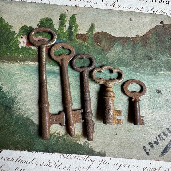 Vintage Skeleton Keys- Rusted Patina- Assorted Sizes Instant Collection- Rustic Primitive Keys