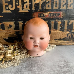 Antique German Doll Head- Armand Marseille 351- Doll Part- Oddity Vintage Bisque Doll- Restoration Doll