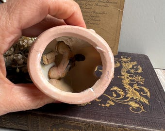 アンティークビスクドールヘッド：ドイツ製ガラスアイ - 4インチ