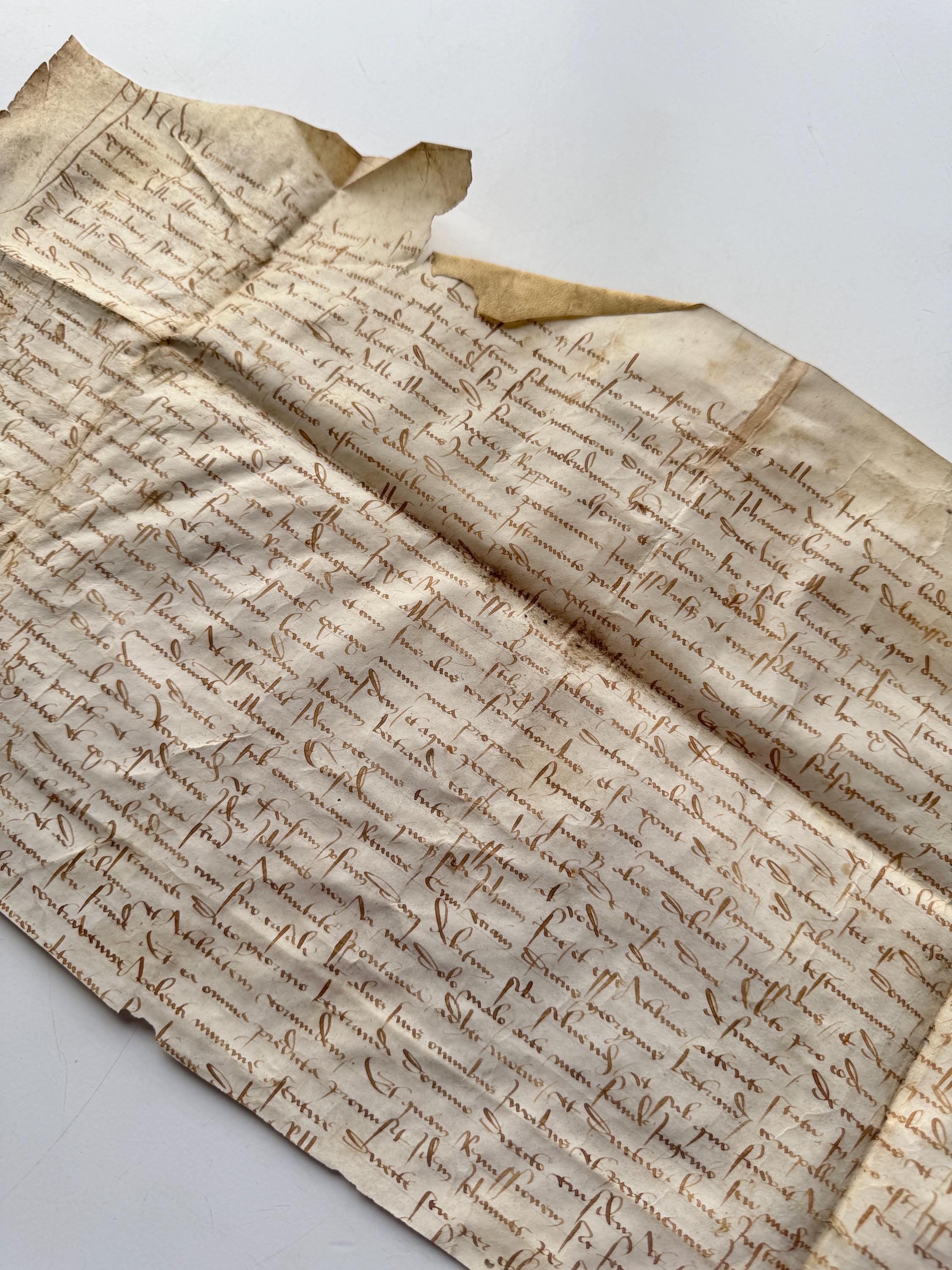 フランスから届いた羊皮紙に書かれたアンティークの手書き文書、1600