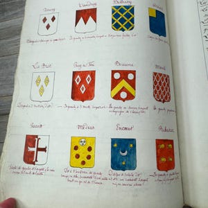 Antique French Heraldry Manuscript Book- Hand Drawn Coats of Arms & Calligraphy- Nobility Research- Early 1800&#39;s