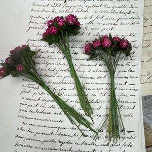 Vintage French Millinery Clusters (3) Sugared Berry Sprigs in Deep Pink
