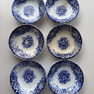 Set of 6 Antique Blue & White Transferware Dishes, Wildrose, Germany