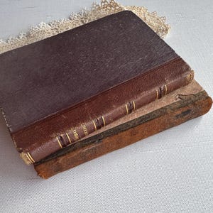 Antique European Book Pair- Early 1800's- Small Stack