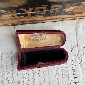 Antique French Meerschaum Pipe Case- Collectible