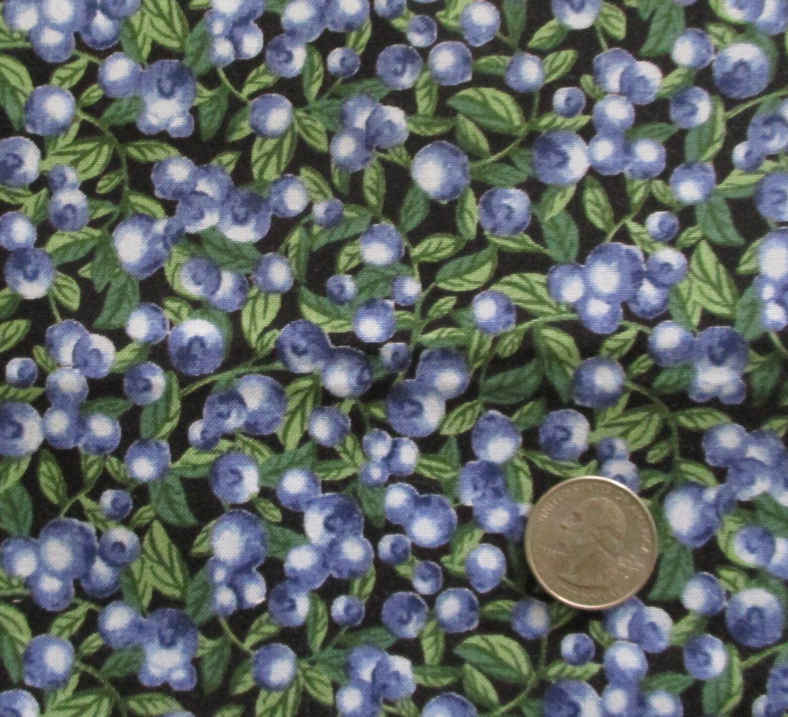 Blueberry Fabric with Black White or Cream Background Fat Etsy