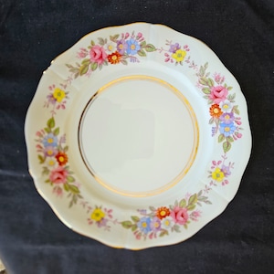 Peut inclure: Une assiette en porcelaine blanche avec un bord festonné et un bord doré. L'assiette est décorée d'un motif floral avec des fleurs roses, rouges, bleues, jaunes et oranges avec des feuilles vertes. L'assiette est posée sur un fond sombre.