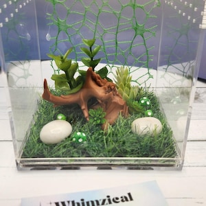 Shroomstone Hollow Series - Jumping Spider Enclosure  – Ready to Ship!
