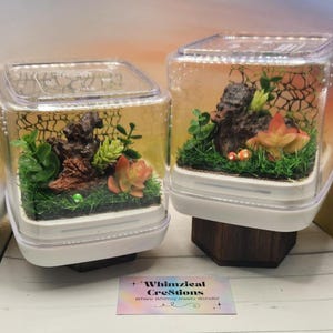 The Mushroom Meadows Series - Jumping Spider Enclosure  – Ready to Ship!