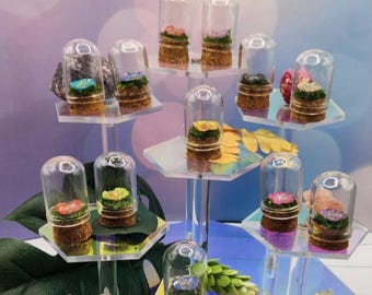 MINI Resting Petals Collection - Memorial Enclosure for your Beloved Jumping Spider (Sold Separately)