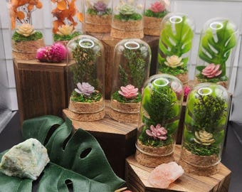 Eternal Luxe Bloom Collection- Memorial Enclosure for your Beloved Jumping Spider (Sold Separately)