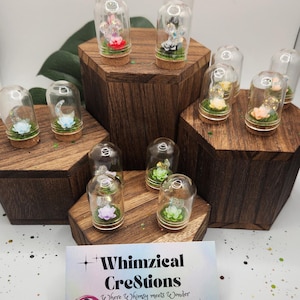 May include: A collection of small glass bottles with cork tops, each containing a miniature flower arrangement. The bottles are displayed on wooden hexagonal shelves. The bottles are arranged in a staggered pattern, with the tallest bottles in the back and the shortest bottles in the front. The bottles are filled with a variety of flowers, including pink, blue, white, and yellow flowers. The flowers are arranged in a whimsical and charming way. The bottles are labeled with the text "Whimsical Creations Where Whimsy meets Wonder".