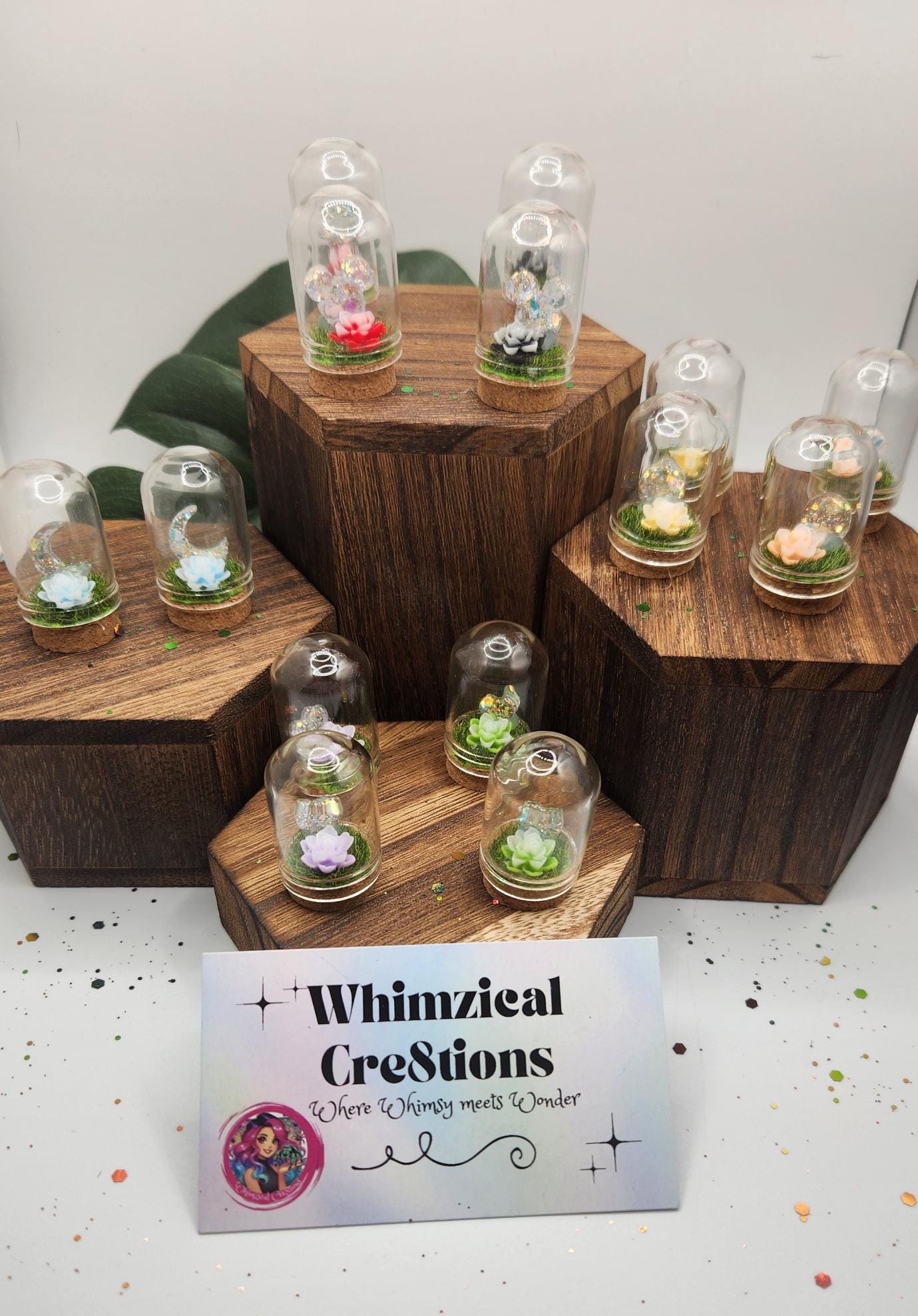 Forever Haven Memorial Enclosure for Your Beloved Jumping Spider - New Designs