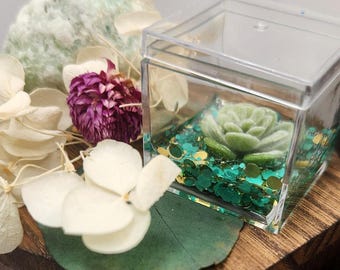 Succulent Spark Memorial Enclosure – Made to Order