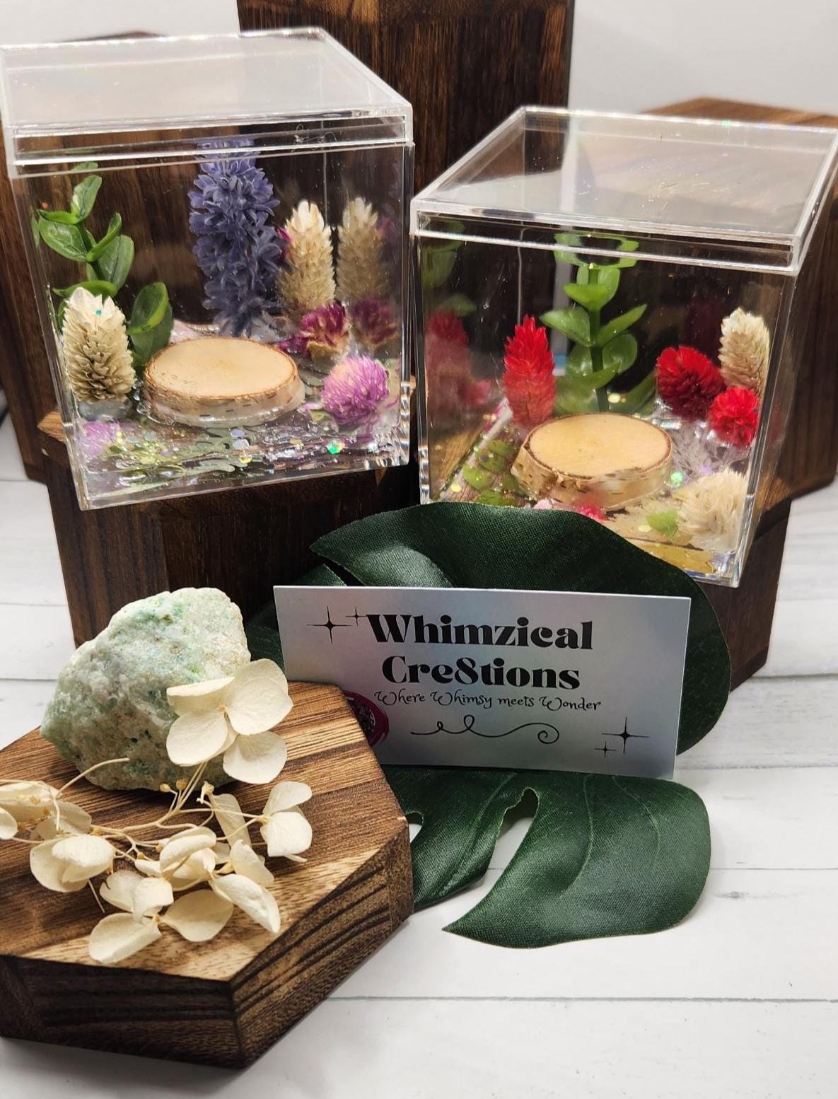 Eternal Glimmer Memorial Collection – Deluxe Memorial Enclosure for Jumping Spiders (Sold Separately)