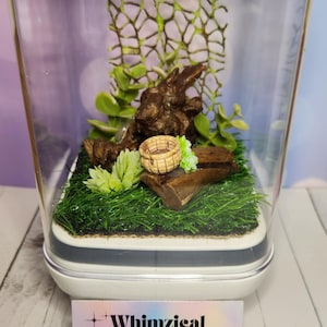 Jumping Spider Enclosure – Nook & Nest Edition – Ready to Ship!