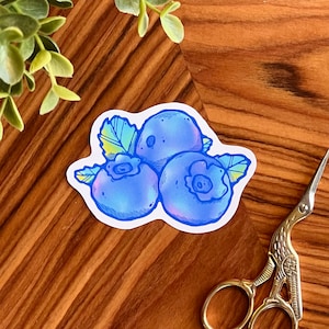 Sticker Myrtilles