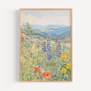 Wildflowers in Shenandoah National Park Pastel Watercolor Painting, Blue Ridge Mountains Poster or Canvas Print Appalachian Wall Art Gift