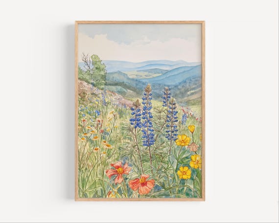 Wildflowers in Shenandoah National Park Pastel Watercolor Painting, Blue Ridge Mountains Poster or Canvas Print Appalachian Wall Art Gift