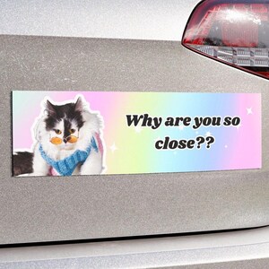 Funny Cat Bumper Sticker Magnet | Sassy Cat Meme Bumper Sticker | Dramatic Girly Bumper Sticker | Stop Tailgating Bumper Sticker