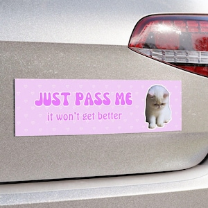 Funny Cat Bumper Sticker Magnet | Just Pass Me Bumper Sticker | Girly Cat Meme Bumper Sticker