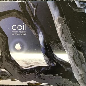 May include: A black and white album cover with the title "coil music to play in the dark2" on a dark blue background with a white moon and stars. The cover features a dark blue and black tree branch.