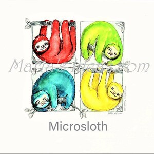 May include: Four watercolor paintings of sloths hanging upside down from branches. Each sloth is a different color: red, green, blue, and yellow. The word "Microsloth" is written below the paintings.