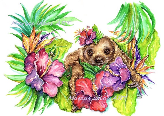 Perezoso Bebe Perezoso En Flores Flores De Hibiscus Dos Etsy