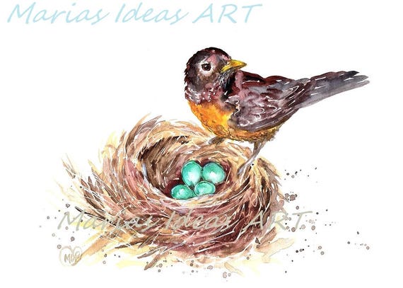 Robin Nest Clip Art
