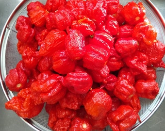 Carolina Reapers, 15 Reaper Seeds, Carolina Reaper Seed, Reapers, Reaper Pepper, Hot Reaper, Spicy Reaper, Spicy Pepper, Valentines