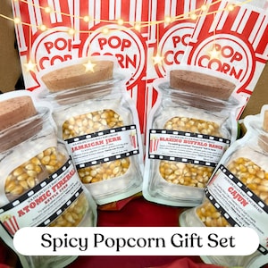 Spicy Popcorn Gift Set | 4 Seasoning Toppings. Unique Christmas Gift Basket & Stocking Stuffers Great For Families and Teens