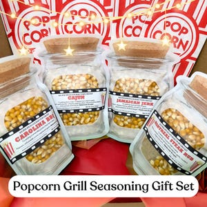 Popcorn Seasoning Gift Set | 4 Flavors: Cajun, Montreal Style, Jamaican Jerk & Carolina BBQ, Gluten Free, Low Sodium. Great for Grillers