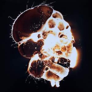 Camera-less Analog Photography. Chemigram.