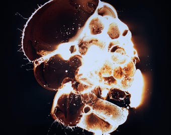 Camera-less Analog Photography. Chemigram.