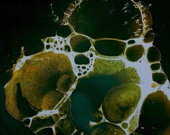 Camera-less Analog Photography. Chemigram.