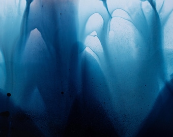 Camera-less Analog Photography. Chemigram.