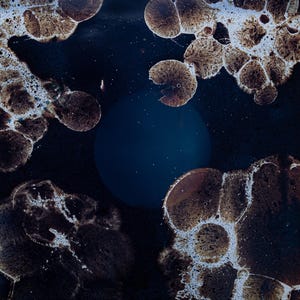 Camera-less Analog Photography. Chemigram.