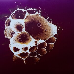 Camera-less Analog Photography. Chemigram.